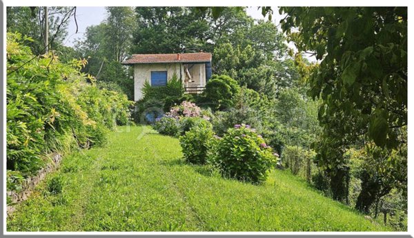immagine annuncio 0 di 15