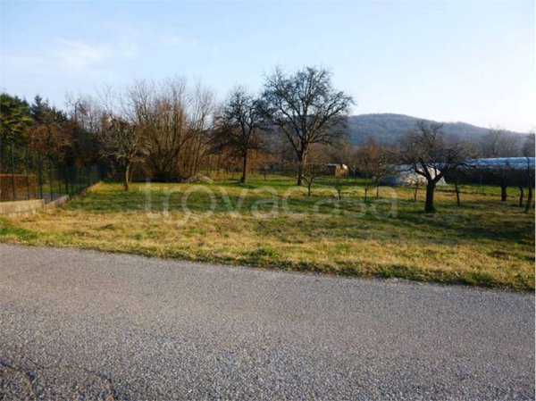 terreno agricolo in vendita a Pisano