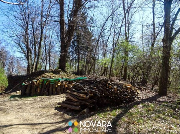 terreno agricolo in vendita a Pogno