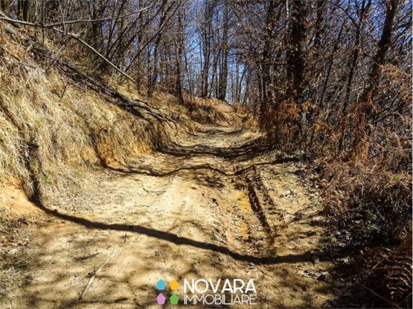 terreno agricolo in vendita a Pogno