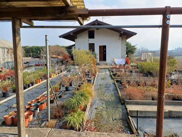 azienda agricola in vendita a Pombia