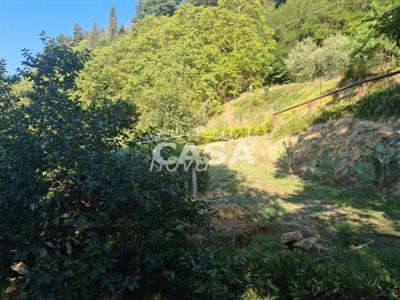 terreno agricolo in vendita a Bientina