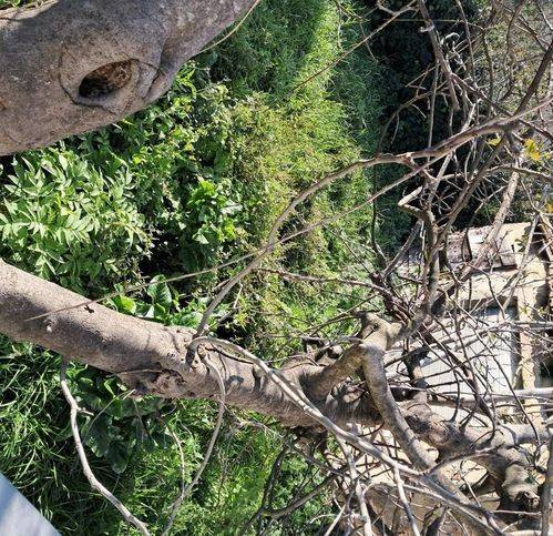 appartamento in vendita a Bientina