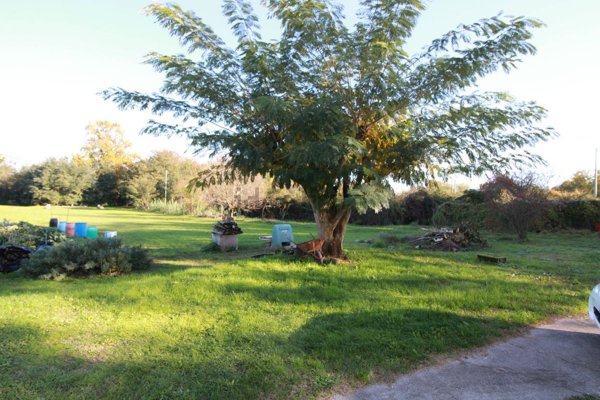 appartamento in vendita a Bientina in zona Caccialupi