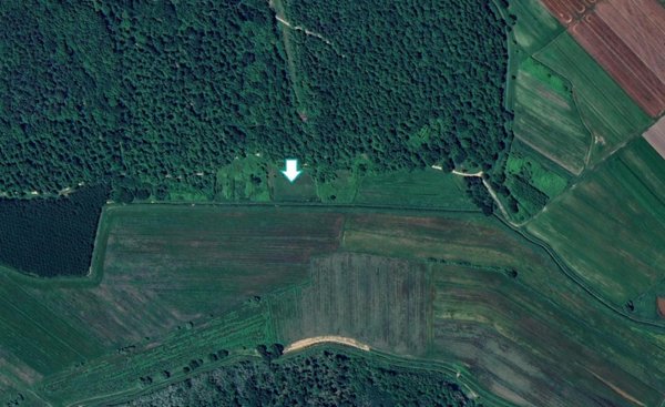 terreno agricolo in vendita a Bientina