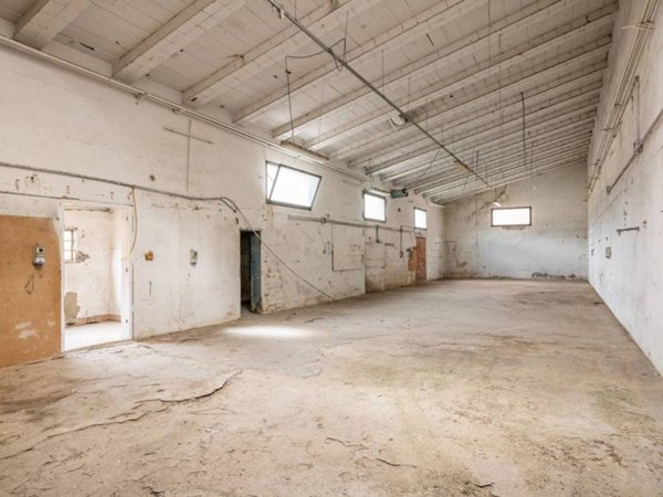 capannone in vendita a Bientina