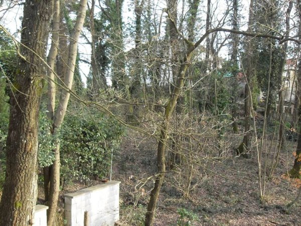 terreno agricolo in vendita a Bientina in zona Santa Colomba