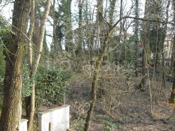 terreno agricolo in vendita a Bientina in zona Santa Colomba