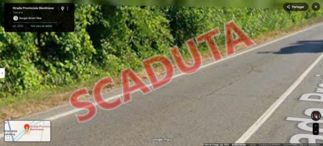 terreno agricolo in vendita a Bientina