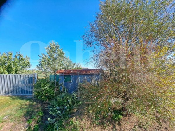 terreno agricolo in vendita a Bientina