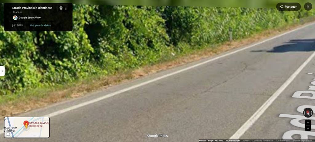 terreno agricolo in vendita a Bientina