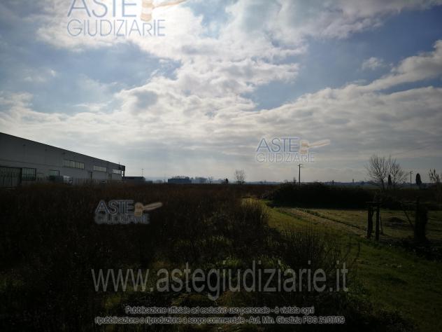 terreno agricolo in vendita a Bientina