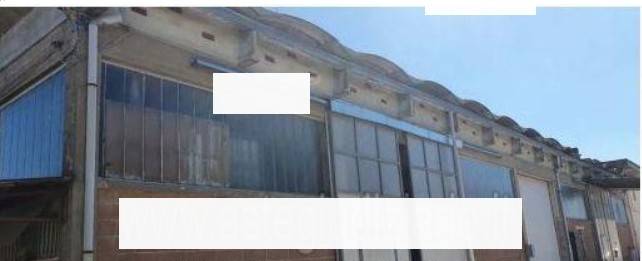 negozio in vendita a Bientina