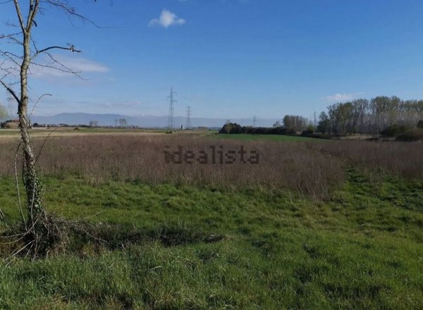 terreno agricolo in vendita a Bientina in zona Puntone