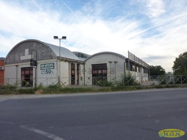 capannone in vendita a Bientina