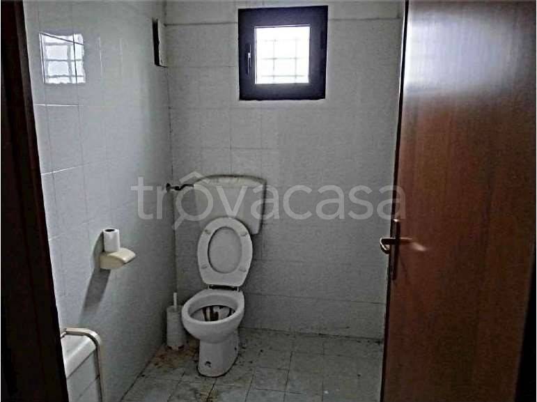 negozio in vendita a Bientina