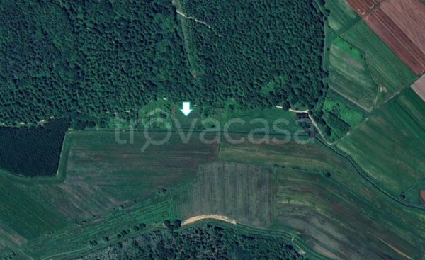 terreno agricolo in vendita a Bientina