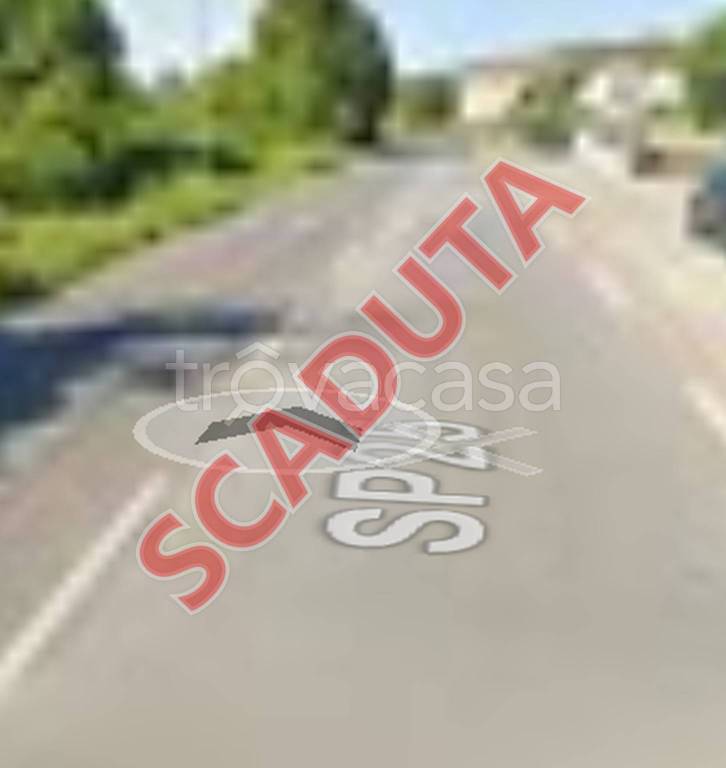 terreno agricolo in vendita a Bientina