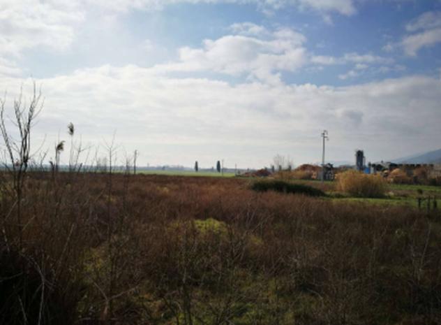 terreno agricolo in vendita a Bientina