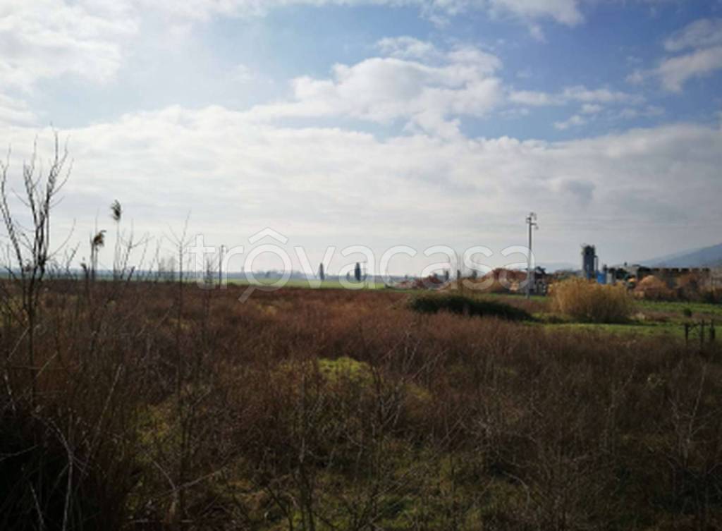 terreno agricolo in vendita a Bientina