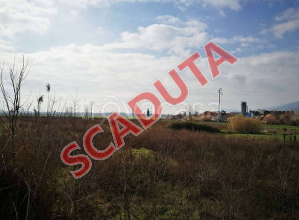 terreno agricolo in vendita a Bientina