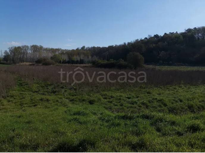terreno agricolo in vendita a Bientina in zona Puntone