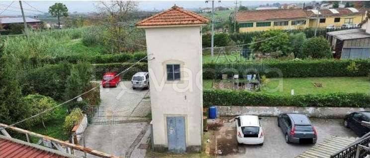 negozio in vendita a Bientina