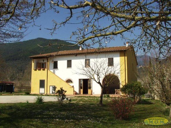 negozio in vendita a Buti