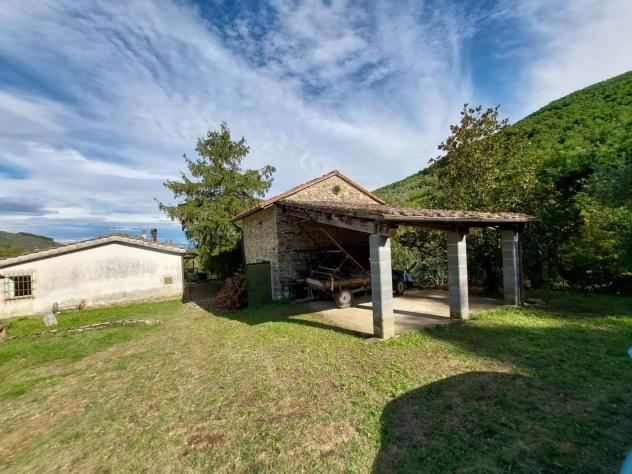 terreno agricolo in vendita a Buti