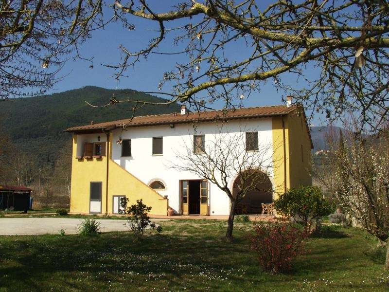 azienda agricola in vendita a Buti