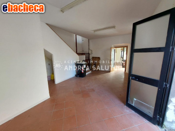 quadrivano in vendita a Buti
