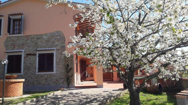 casa indipendente in vendita a Buti