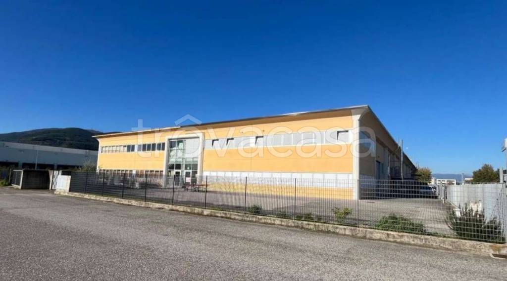 locale commerciale in vendita a Buti