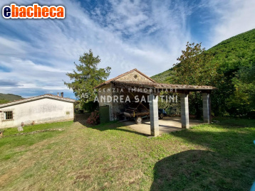 casa indipendente in vendita a Buti