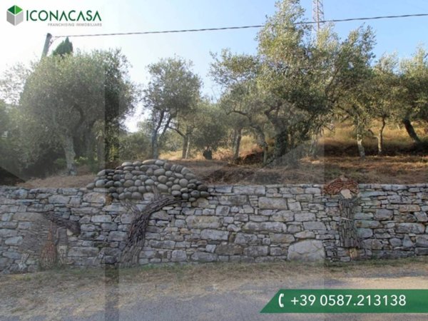 terreno agricolo in vendita a Buti