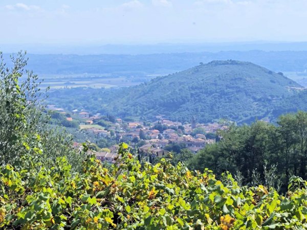 appartamento in vendita a Buti