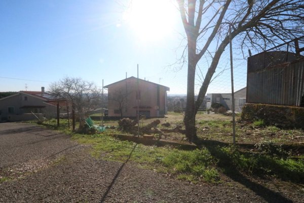 appartamento in vendita a Buti