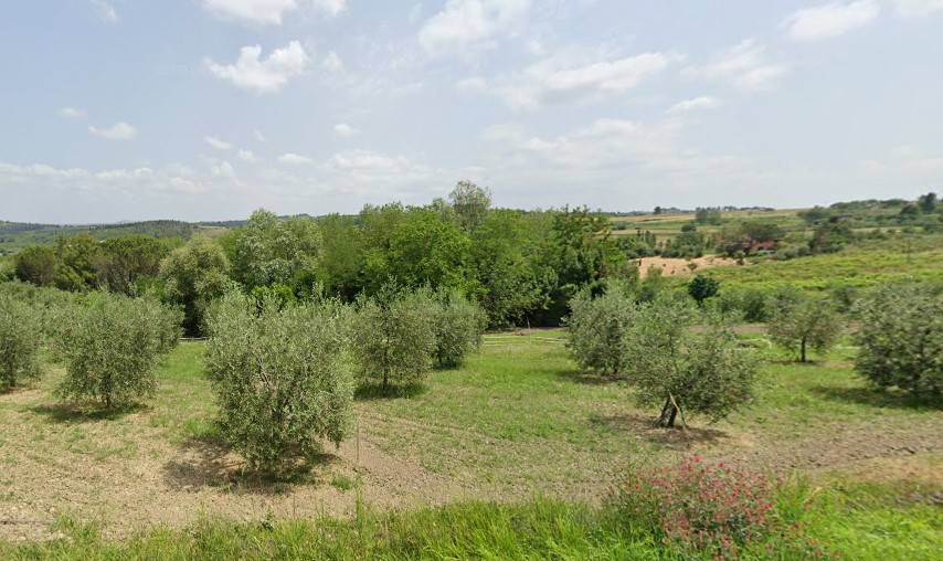 capannone in vendita a Buti