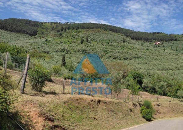 terreno agricolo in vendita a Buti