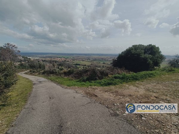terreno agricolo in vendita a Buti