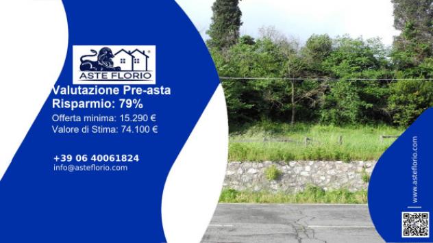 terreno agricolo in vendita a Buti