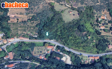 terreno edificabile in vendita a Buti