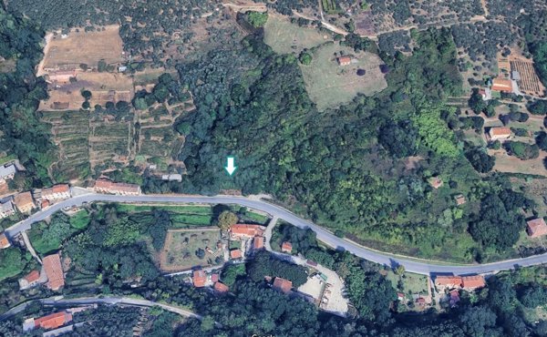 terreno edificabile in vendita a Buti