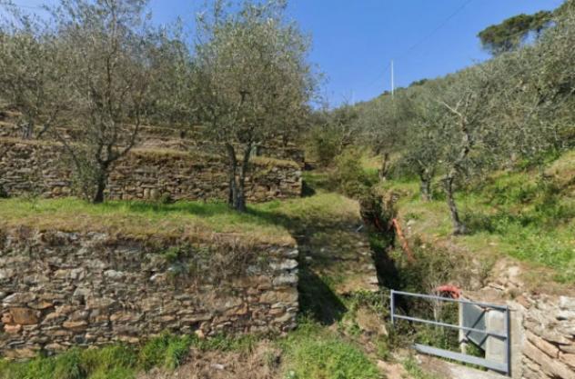 terreno agricolo in vendita a Buti in zona La croce