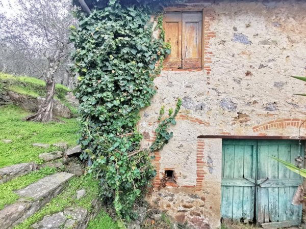 casa indipendente in vendita a Buti