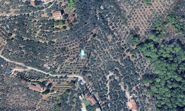 terreno agricolo in vendita a Buti