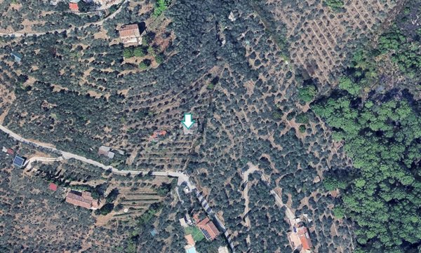 terreno agricolo in vendita a Buti