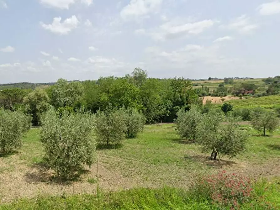 capannone in vendita a Buti