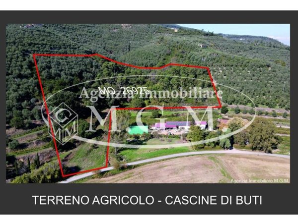 terreno agricolo in vendita a Buti