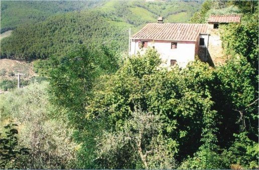 casa indipendente in vendita a Buti